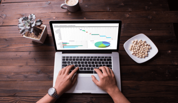 hands typing on laptop with excel spreadsheet on screen